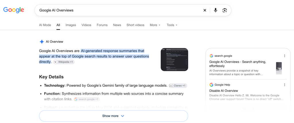 google ai overview